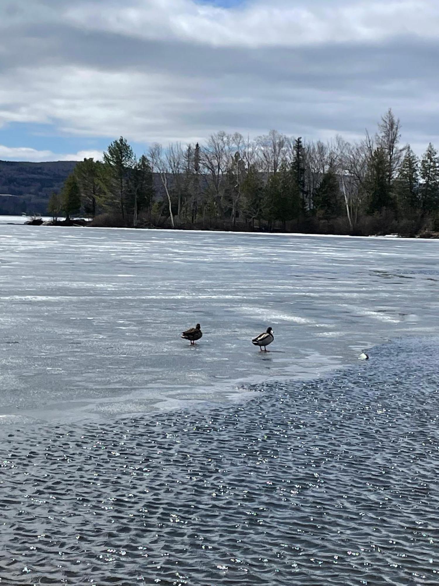 Rangeley Town & Lake Esterno foto